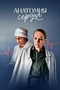  Анатомия сердца 